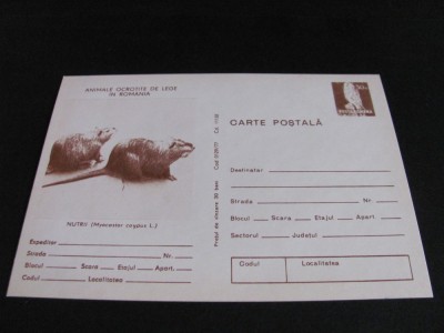 Nutrii, Animale Ocrotite de Lege. Carte Poștală Filatelică Rom&amp;acirc;nia Nefolosită .Colecție Epoca Ceaușescu foto