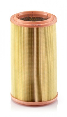 Filtru Aer Mann-Filter C1586 foto
