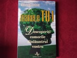 Marele Tu! Descoperiti comorile dinlauntrul vostru - Rene de Lassus (6)
