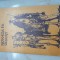 Revolta in desert - Colonelul T. Lawrence
