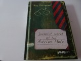 JUrnalul secret al lui Adrian Male- S. Tawnsend