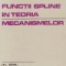 Functii spline in teoria mecanismelor (Fejes)