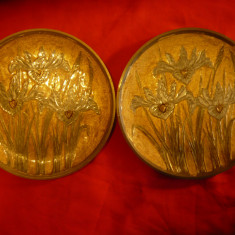 2 Piese ornamentale de perete -bronz pictat email - flori iris ,diametrul 16,6cm