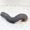 Furtun intercooler dreapta FORD TRANSIT 2017 OEM: GK21-6F073-AB 13768342