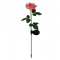 Lampa Solara LED tip Trandafir cu o floare pentru Gradina, Inaltime 75 cm, Flippy