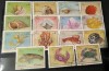 Lot 14 timbre tematice &bdquo;Faună Marină, Scoici și Crustacee&rdquo; &ndash; Fujeira (UAE) &ndash; 1972, Stampilat