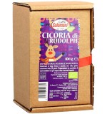 Cicoare Solubila (Cicoarea lui Rudolf) Bio 100 grame Salomoni