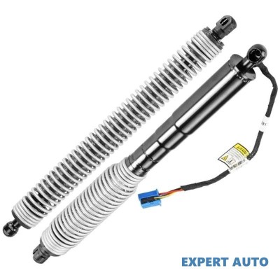 Telescop haion stanga spate BMW Seria 1 (2010-&amp;gt;) [F20] #1 foto