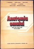 ANATOMIA OMULUI, MANUAL PENTRU STUDENTII STRAINI DIN ANUL PREGATITOR-D. MISCALENCU, FLORICA MAILAT-MISCALEN-354976