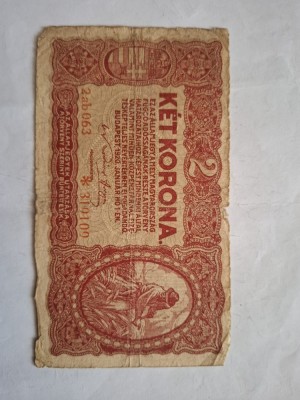 2 coroane 1920 foto
