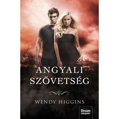 Angyali sz&amp;ouml;vets&amp;eacute;g - Wendy Higgins foto