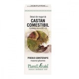 Extract din muguri de castan comestibil, 50ml, PlantExtrakt