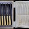 Set cutite Art Noveau