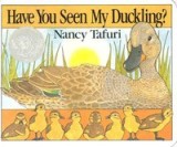 Have You Seen My Duckling? Board Book