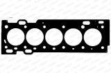 PAYEN AE5560 Garnitura, chiulasa