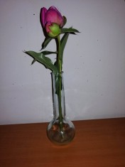 Vaza flori din sticla groasa sub forma de balon cu fund plat cu gat lung in forma de sticla laborator 19.5 cm