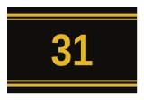Sticker autoadeziv nr. 31 - Signetten SAFE auriu pe fundal negru