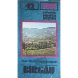 BIRGAU (HARTA LIPSA)-TRAIAN NAUM, GRIGORE MOLDOVAN-200598