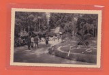 AMS @ - ILUSTRATA/VEDERE VATRA DORNEI, VEDERE DIN PARC, 1939, necirculata, Circulata, Fotografie