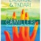 Andrea Camilleri - Excursie la Tindari