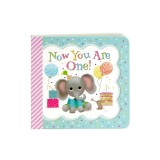 Now You Are One: A Keepsake Greeting Card Book