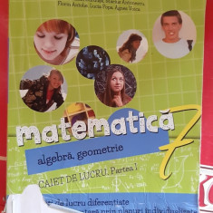 MATEMATICA ALGEBRA GEOMETRIE CLASA A VII A PARTEA I