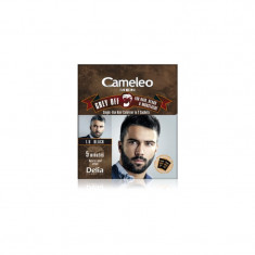 Delia Cosmetics Cameleo Men culoare de unică folosință, pentru acoperirea imediată a părului cărunt culoare 1.0 Black 2x15 ml