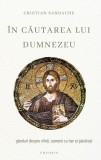 &Icirc;n căutarea lui Dumnezeu - Paperback brosat - Theosis