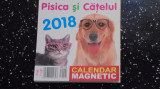 MAGNETI DE FRIGIDER - TIP CALENDAR 2018 - CATEI SI PISICI.