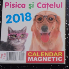 MAGNETI DE FRIGIDER - TIP CALENDAR 2018 - CATEI SI PISICI.