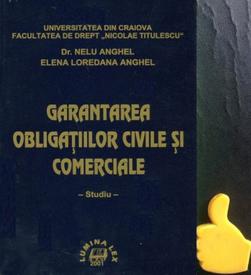 Garantarea obligatiilor civile si comerciale Nelu Anghel foto