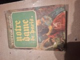 Victor Hugo - Notre-Dame de Paris (volumul 1)