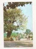 RF180 - Carte Postala - Iasi. Teiul lui M. Eminescu din gradina Copou, necirculata
