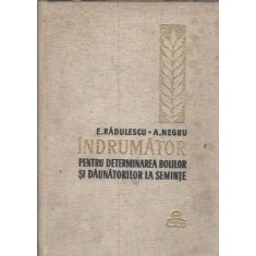 Indrumator pentru determinarea bolilor si daunatorilor la seminte - E. Radulescu