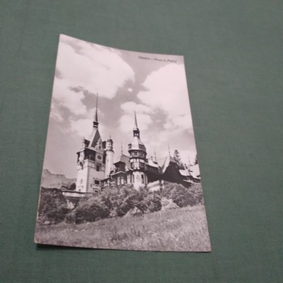 CARTE POSTALA SINAIA -MUZEUL PELES CIRCULATA foto