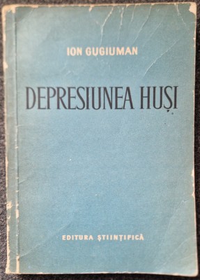 DEPRESIUNEA HUSI - Ion Gugiuman foto