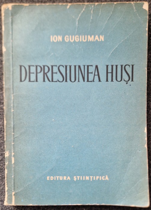 DEPRESIUNEA HUSI - Ion Gugiuman