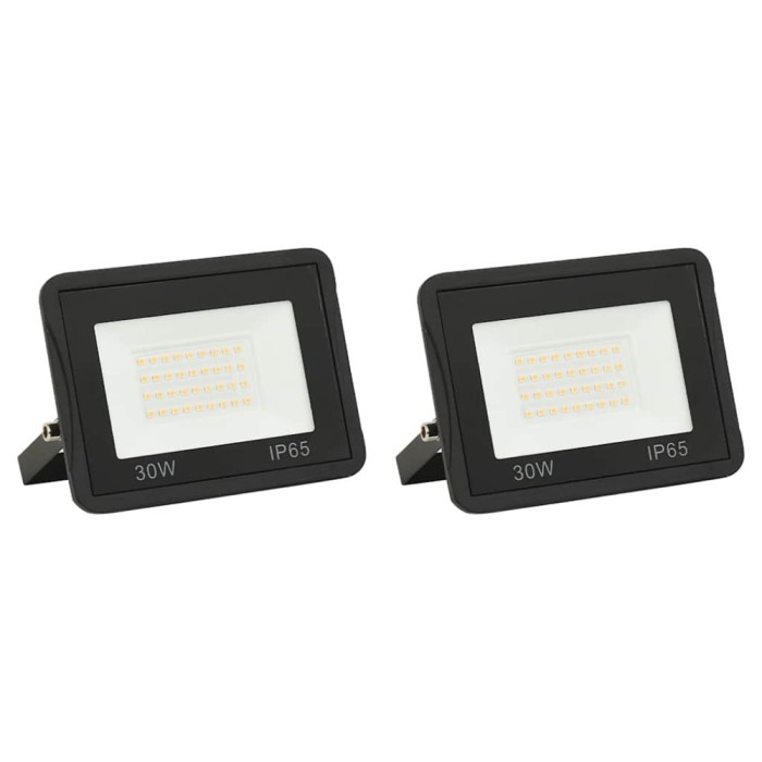 Proiectoare cu LED, 30 W, 2 buc., alb rece