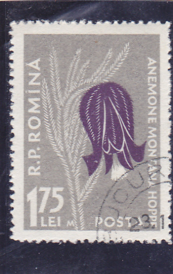 ROMANIA 1957 LP 432 b FLORA CARPATINA VALOAREA DE 1,75 LEI EROARE M