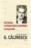 Istoria literaturii romane. Compendiu - George Calinescu