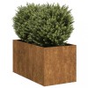 VidaXL Jardinieră Rusty 40x80x40 cm Oțel pentru intemperii 860737