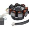 Stator 8 bobine+senzor scanteie