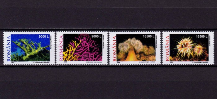 RO 2002 LP 1577 &quot;Corali si anemone &quot; - serie , MNH