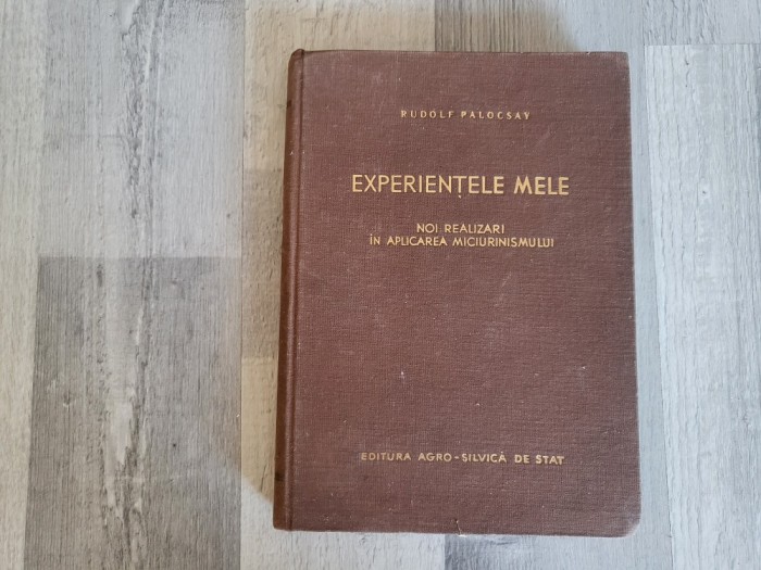 Experientele mele.Noi realizari in aplicarea miciurinismului de Rudolf Palocsay
