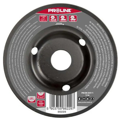 Disc Proline Raspel Conic Aspru Diametru 230 mm foto