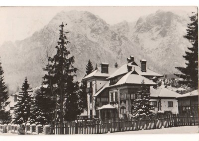 CPIB 18243 CARTE POSTALA - BUSTENI. VILA PARC, RPR foto