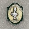 Insigna rusia