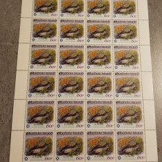 EASDALE ISLAND LICHENI COALA DANTELATA MNH