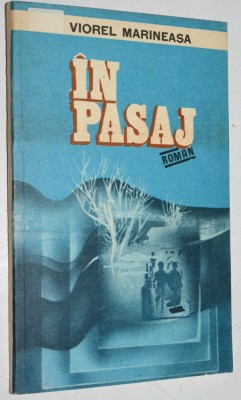 In pasaj - Viorel Marineasa foto