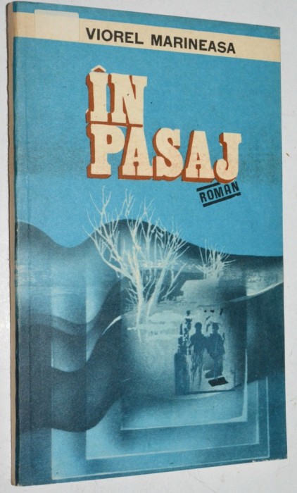 In pasaj - Viorel Marineasa